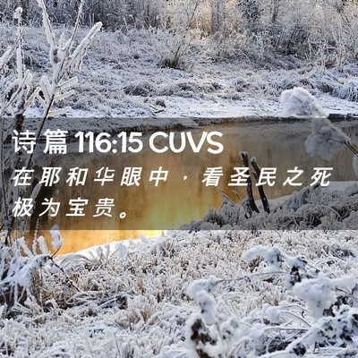 Picture 02 - 诗 篇 116:15 CUVS - 在 耶 和 华 眼 中 ， 看 圣 民 之 死 - Bible Verse Picture