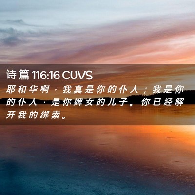 Picture 02 - 诗 篇 116:16 CUVS - 耶 和 华 啊 ， 我 真 是 你 的 仆 人 - Bible Verse Picture