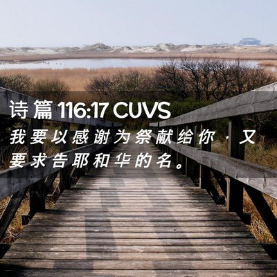 Picture 02 - 诗 篇 116:17 CUVS - 我 要 以 感 谢 为 祭 献 给 你 ， 又 - Bible Verse Picture