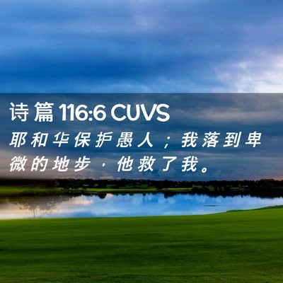 Picture 02 - 诗 篇 116:6 CUVS - 耶 和 华 保 护 愚 人 ； 我 落 到 卑 - Bible Verse Picture