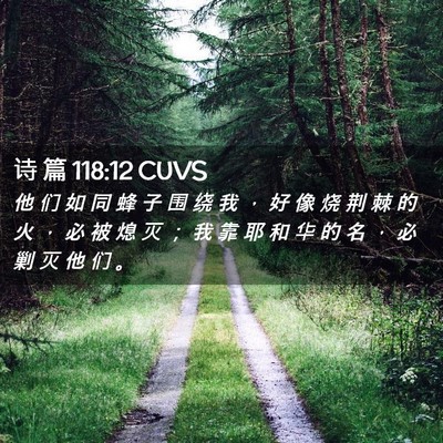 Picture 02 - 诗 篇 118:12 CUVS - 他 们 如 同 蜂 子 围 绕 我 ， 好 像 - Bible Verse Picture