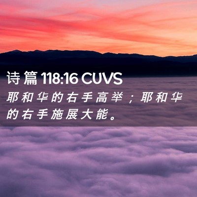 Picture 02 - 诗 篇 118:16 CUVS - 耶 和 华 的 右 手 高 举 ； 耶 和 华 - Bible Verse Picture