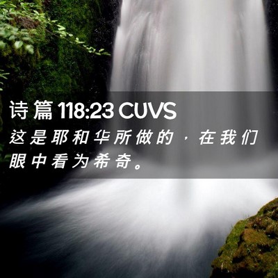 Picture 02 - 诗 篇 118:23 CUVS - 这 是 耶 和 华 所 做 的 ， 在 我 们 - Bible Verse Picture