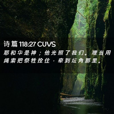 Picture 02 - 诗 篇 118:27 CUVS - 耶 和 华 是 神 ； 他 光 照 了 我 们 - Bible Verse Picture