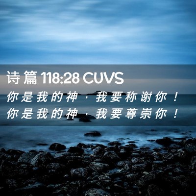Picture 02 - 诗 篇 118:28 CUVS - 你 是 我 的 神 ， 我 要 称 谢 你 ！ - Bible Verse Picture