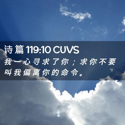 Picture 02 - 诗 篇 119:10 CUVS - 我 一 心 寻 求 了 你 ； 求 你 不 要 - Bible Verse Picture