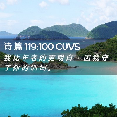 Picture 02 - 诗 篇 119:100 CUVS - 我 比 年 老 的 更 明 白 ， 因 我 守 - Bible Verse Picture