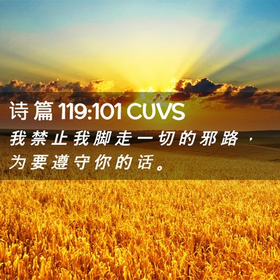 Picture 02 - 诗 篇 119:101 CUVS - 我 禁 止 我 脚 走 一 切 的 邪 路 ， - Bible Verse Picture