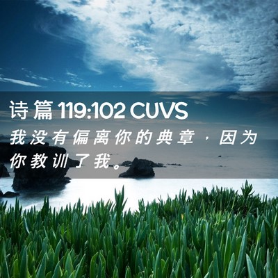 Picture 02 - 诗 篇 119:102 CUVS - 我 没 有 偏 离 你 的 典 章 ， 因 为 - Bible Verse Picture