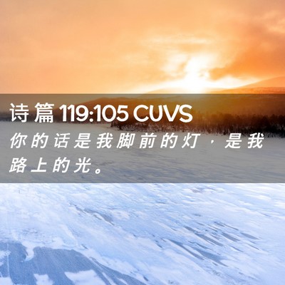 Picture 02 - 诗 篇 119:105 CUVS - 你 的 话 是 我 脚 前 的 灯 ， 是 我 - Bible Verse Picture