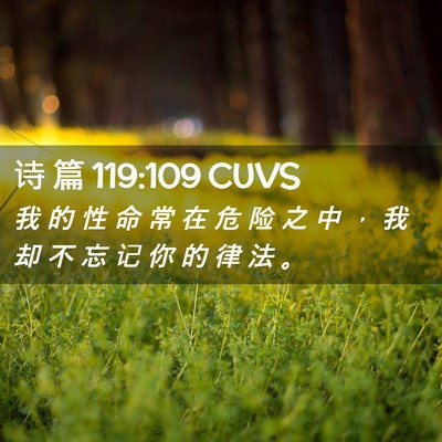 Picture 02 - 诗 篇 119:109 CUVS - 我 的 性 命 常 在 危 险 之 中 ， 我 - Bible Verse Picture