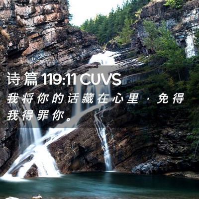 Picture 02 - 诗 篇 119:11 CUVS - 我 将 你 的 话 藏 在 心 里 ， 免 得 - Bible Verse Picture