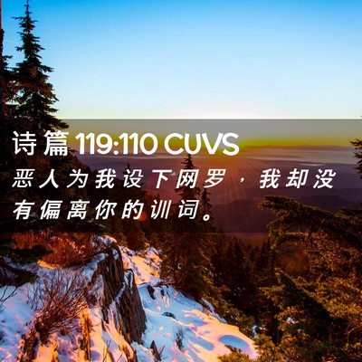 Picture 02 - 诗 篇 119:110 CUVS - 恶 人 为 我 设 下 网 罗 ， 我 却 没 - Bible Verse Picture
