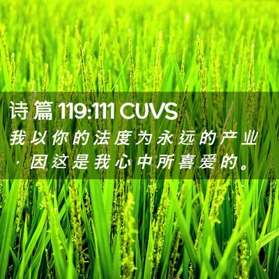 Picture 02 - 诗 篇 119:111 CUVS - 我 以 你 的 法 度 为 永 远 的 产 业 - Bible Verse Picture
