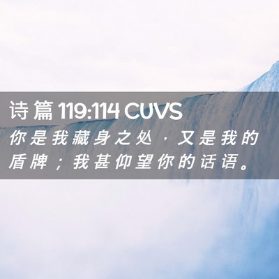 Picture 02 - 诗 篇 119:114 CUVS - 你 是 我 藏 身 之 处 ， 又 是 我 的 - Bible Verse Picture