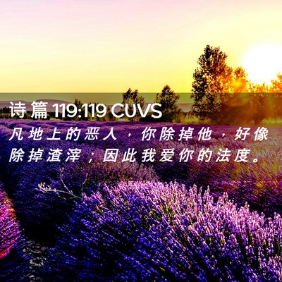 Picture 02 - 诗 篇 119:119 CUVS - 凡 地 上 的 恶 人 ， 你 除 掉 他 ， - Bible Verse Picture