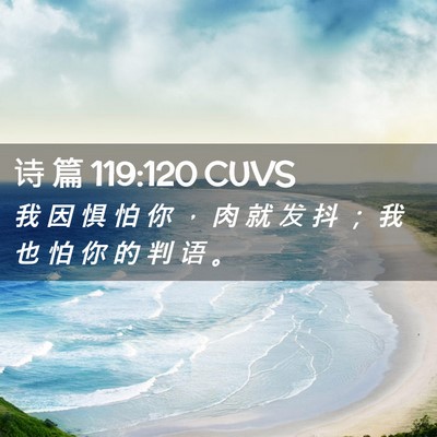 Picture 02 - 诗 篇 119:120 CUVS - 我 因 惧 怕 你 ， 肉 就 发 抖 ； 我 - Bible Verse Picture