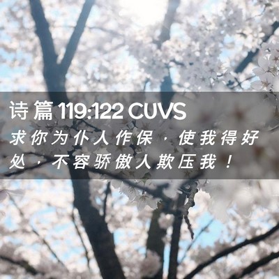 Picture 02 - 诗 篇 119:122 CUVS - 求 你 为 仆 人 作 保 ， 使 我 得 好 - Bible Verse Picture
