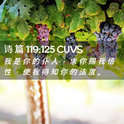 Picture 02 - 诗 篇 119:125 CUVS - 我 是 你 的 仆 人 ， 求 你 赐 我 悟 - Bible Verse Picture