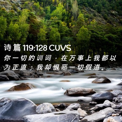 Picture 02 - 诗 篇 119:128 CUVS - 你 一 切 的 训 词 ， 在 万 事 上 我 - Bible Verse Picture
