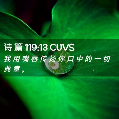 Picture 02 - 诗 篇 119:13 CUVS - 我 用 嘴 唇 传 扬 你 口 中 的 一 切 - Bible Verse Picture