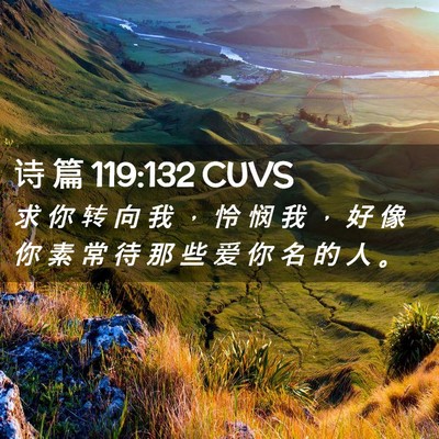 Picture 02 - 诗 篇 119:132 CUVS - 求 你 转 向 我 ， 怜 悯 我 ， 好 像 - Bible Verse Picture