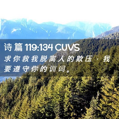Picture 02 - 诗 篇 119:134 CUVS - 求 你 救 我 脱 离 人 的 欺 压 ， 我 - Bible Verse Picture