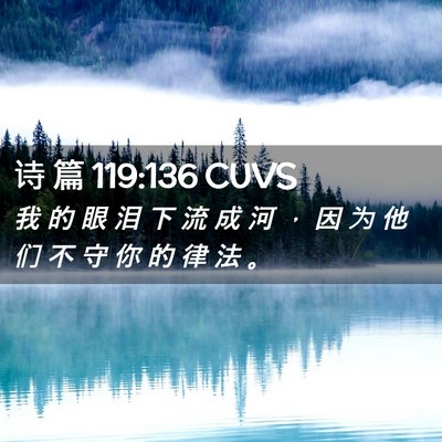 Picture 02 - 诗 篇 119:136 CUVS - 我 的 眼 泪 下 流 成 河 ， 因 为 他 - Bible Verse Picture