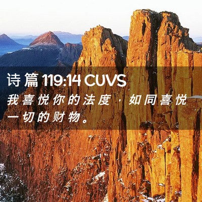 Picture 02 - 诗 篇 119:14 CUVS - 我 喜 悦 你 的 法 度 ， 如 同 喜 悦 - Bible Verse Picture