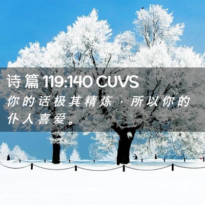 Picture 02 - 诗 篇 119:140 CUVS - 你 的 话 极 其 精 炼 ， 所 以 你 的 - Bible Verse Picture