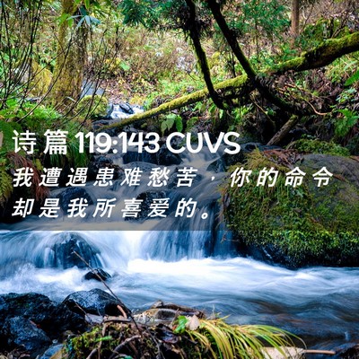 Picture 02 - 诗 篇 119:143 CUVS - 我 遭 遇 患 难 愁 苦 ， 你 的 命 令 - Bible Verse Picture