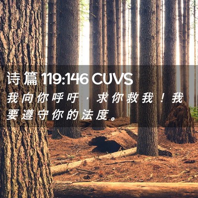 Picture 02 - 诗 篇 119:146 CUVS - 我 向 你 呼 吁 ， 求 你 救 我 ！ 我 - Bible Verse Picture