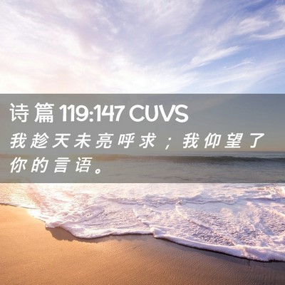 Picture 02 - 诗 篇 119:147 CUVS - 我 趁 天 未 亮 呼 求 ； 我 仰 望 了 - Bible Verse Picture