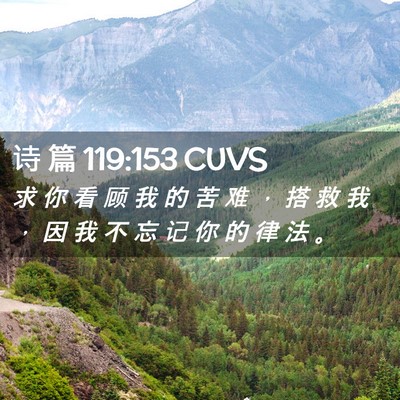 Picture 02 - 诗 篇 119:153 CUVS - 求 你 看 顾 我 的 苦 难 ， 搭 救 我 - Bible Verse Picture