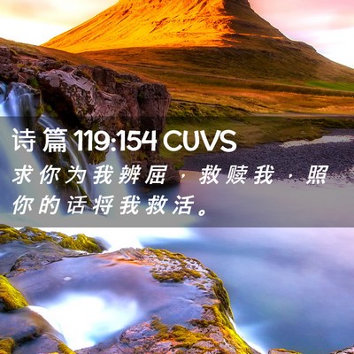 Picture 02 - 诗 篇 119:154 CUVS - 求 你 为 我 辨 屈 ， 救 赎 我 ， 照 - Bible Verse Picture