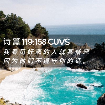 Picture 02 - 诗 篇 119:158 CUVS - 我 看 见 奸 恶 的 人 就 甚 憎 恶 ， - Bible Verse Picture