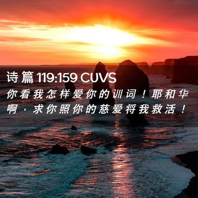 Picture 02 - 诗 篇 119:159 CUVS - 你 看 我 怎 样 爱 你 的 训 词 ！ 耶 - Bible Verse Picture