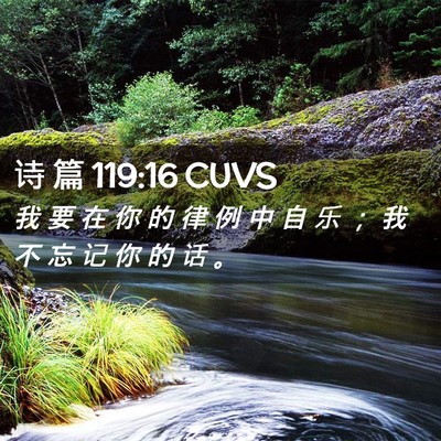 Picture 02 - 诗 篇 119:16 CUVS - 我 要 在 你 的 律 例 中 自 乐 ； 我 - Bible Verse Picture