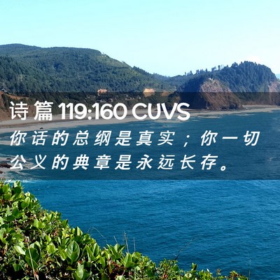 Picture 02 - 诗 篇 119:160 CUVS - 你 话 的 总 纲 是 真 实 ； 你 一 切 - Bible Verse Picture