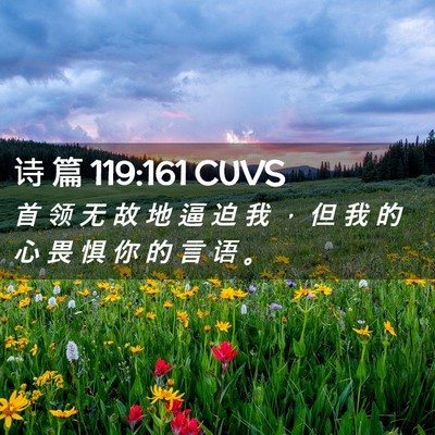 Picture 02 - 诗 篇 119:161 CUVS - 首 领 无 故 地 逼 迫 我 ， 但 我 的 - Bible Verse Picture