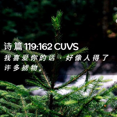 Picture 02 - 诗 篇 119:162 CUVS - 我 喜 爱 你 的 话 ， 好 像 人 得 了 - Bible Verse Picture