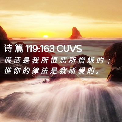 Picture 02 - 诗 篇 119:163 CUVS - 谎 话 是 我 所 恨 恶 所 憎 嫌 的 ； - Bible Verse Picture