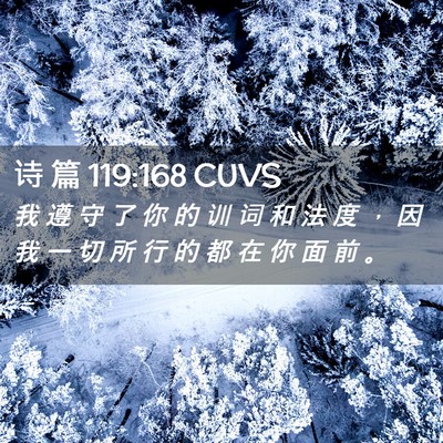 Picture 02 - 诗 篇 119:168 CUVS - 我 遵 守 了 你 的 训 词 和 法 度 ， - Bible Verse Picture