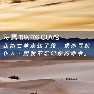 Picture 02 - 诗 篇 119:176 CUVS - 我 如 亡 羊 走 迷 了 路 ， 求 你 寻 - Bible Verse Picture