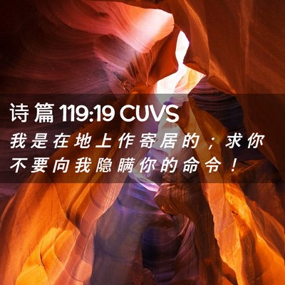 Picture 02 - 诗 篇 119:19 CUVS - 我 是 在 地 上 作 寄 居 的 ； 求 你 - Bible Verse Picture