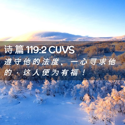 Picture 02 - 诗 篇 119:2 CUVS - 遵 守 他 的 法 度 、 一 心 寻 求 他 - Bible Verse Picture
