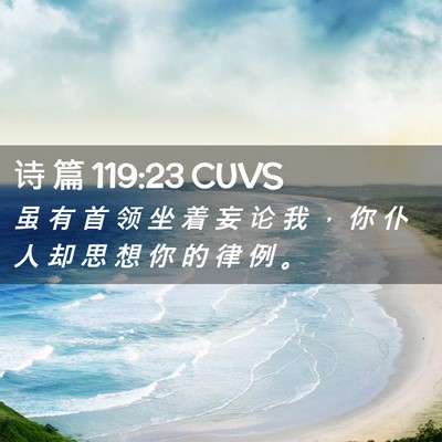 Picture 02 - 诗 篇 119:23 CUVS - 虽 有 首 领 坐 着 妄 论 我 ， 你 仆 - Bible Verse Picture