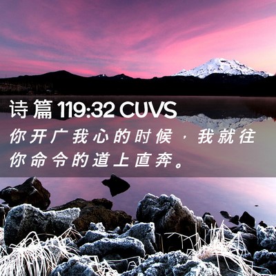 Picture 02 - 诗 篇 119:32 CUVS - 你 开 广 我 心 的 时 候 ， 我 就 往 - Bible Verse Picture