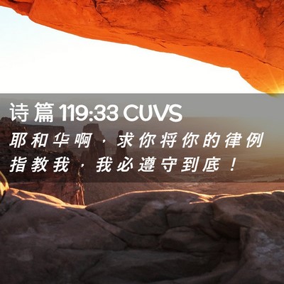 Picture 02 - 诗 篇 119:33 CUVS - 耶 和 华 啊 ， 求 你 将 你 的 律 例 - Bible Verse Picture