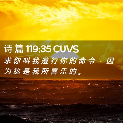Picture 02 - 诗 篇 119:35 CUVS - 求 你 叫 我 遵 行 你 的 命 令 ， 因 - Bible Verse Picture